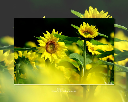 430452 (a): :1280x1024